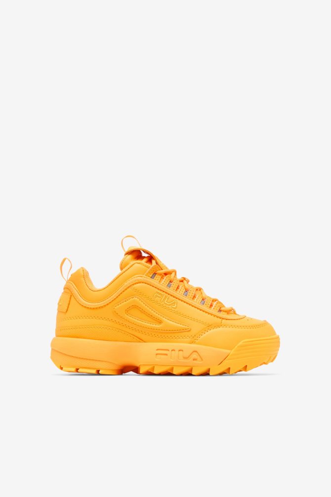 Little Kids' Disruptor 2 Premium