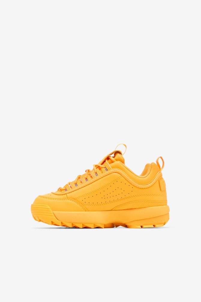 Little Kids' Disruptor 2 Premium - Image 2