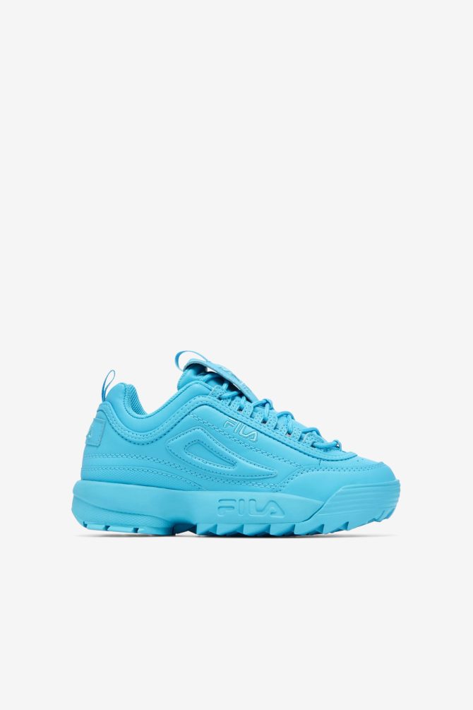 Big Kids' Disruptor 2 Premium